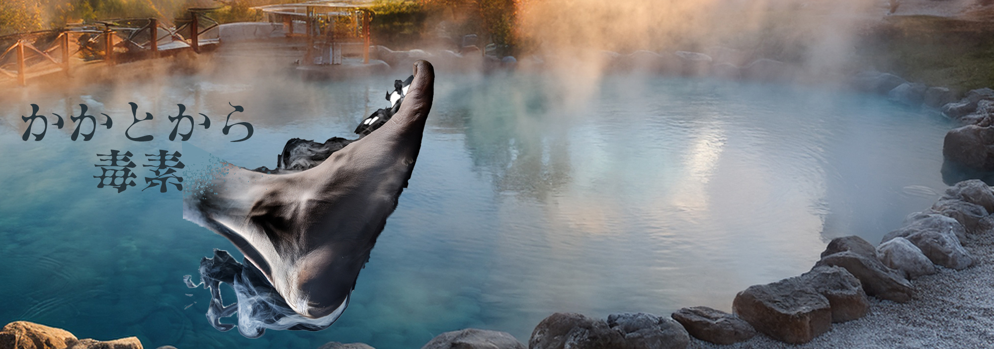 かかとから毒素の画像